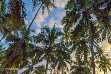 בית מלון כפרי Orange Sky Inn