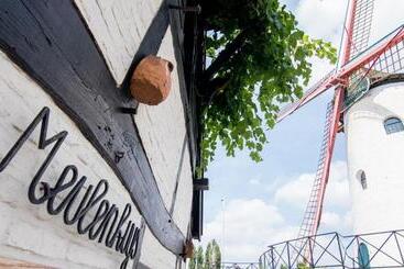 هتل Rysselende Molen