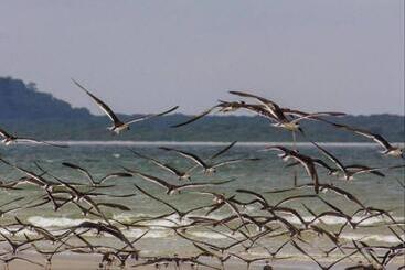 پانسیون Ilha Das Peças Lagamar