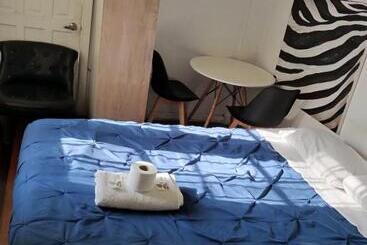Wild Bellavista Hostel