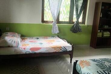 Bed and Breakfast Lovely Flowers In Mount Lavinia