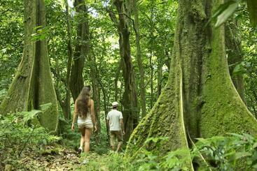 هتل Eco Lodge Village Temanoha