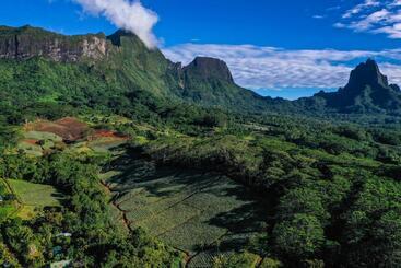 هتل Eco Lodge Village Temanoha