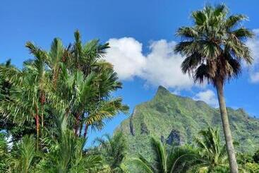 هتل Eco Lodge Village Temanoha