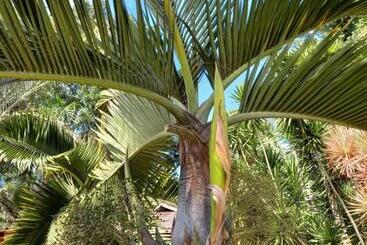هتل Eco Lodge Village Temanoha
