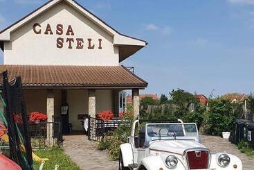 Pensiunea Casa Steli