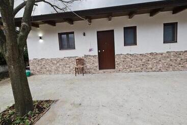 Affittacamere B&b Tulipano E B&b Orchidea