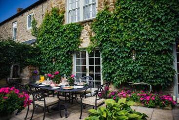 Dbo Hotels