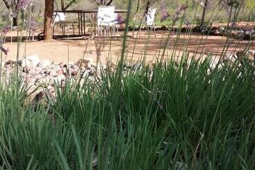 هتل The Wild Horizon Lodge