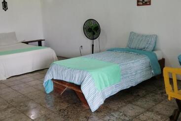 Общежитие Palmera Rooms Caribe