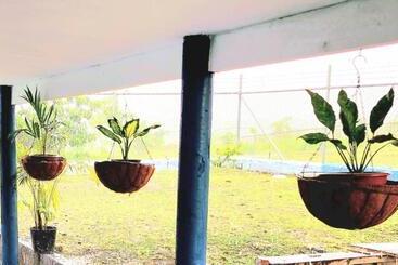 تختخواب و صبحانه Acacia Gardens