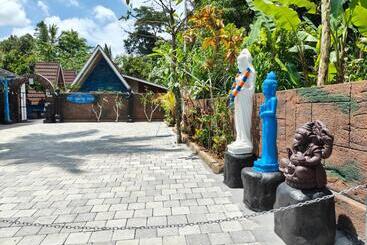 هتل Byron Jungle Resort
