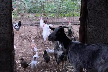 هتل Azienda Agricola Zootecnica Soriente Di Guglielmo Areh Soriente & C.s.a.s