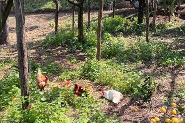 هتل Azienda Agricola Zootecnica Soriente Di Guglielmo Areh Soriente & C.s.a.s