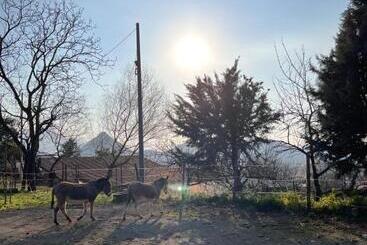 هتل Azienda Agricola Zootecnica Soriente Di Guglielmo Areh Soriente & C.s.a.s