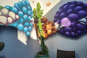 تختخواب و صبحانه Casa Salvia Guesthouse Icod