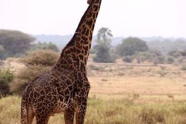 هتل Baker Safari Company