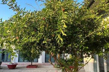 هتل Hy Guesthouse Phu Quoc   Nhà Hy Vivu Bên Vườn