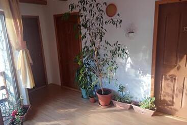پانسیون Casa Alexandru