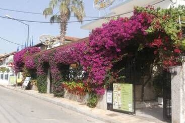 پانسیون Harry's Bar & Apartments