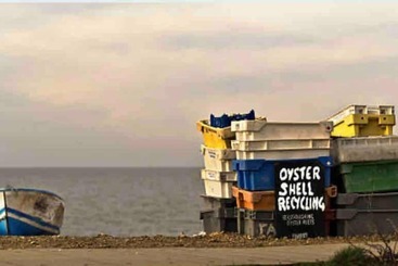 اقامتگاه Beautiful Cottage In Central Whitstable