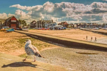 اقامتگاه Beautiful Cottage In Central Whitstable