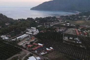 Utopya Apart Kamp Alani