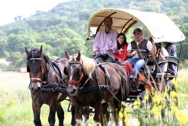 هتل Agriturismo La Pulledraia