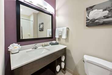 هتل La Quinta By Wyndham Lake Charles   Westlake