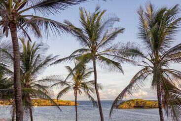 호텔 Lily Palm Resort