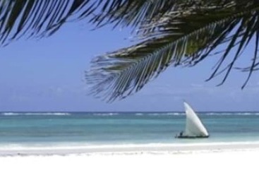 호텔 Lily Palm Resort