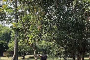 هتل Lumbini Buddha Garden Resort