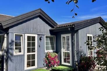 Apartamenty Nexo
