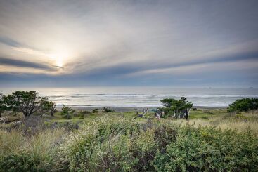 별장 The Lighthouse: 3 Acre Port Orford Oceanfront Home