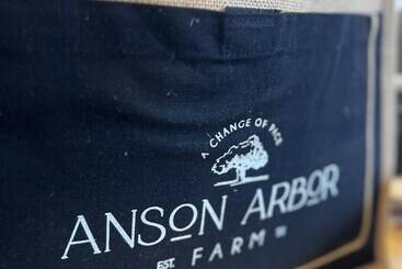 Сельский дом Anson Arbor Farm