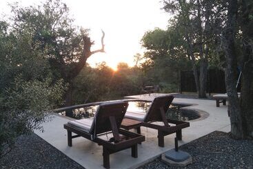 Leadwood Tree Safari Lodge