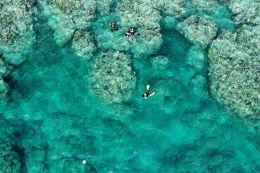 استراحتگاه South Pacific Memories