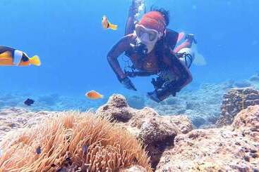 استراحتگاه South Pacific Memories