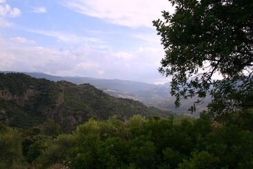 پانسیون Casa Rural Los Algarrobales