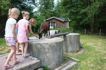 استراحتگاه Europarcs De Wiltzangh