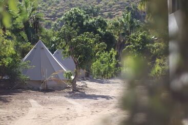 Todos Santos Hostel