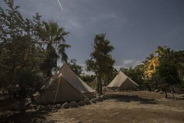 Todos Santos Hostel