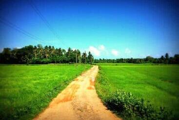 هتل The Beauty Of Udawalawa