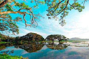 هتل The Beauty Of Udawalawa