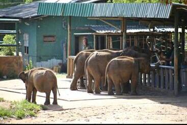 هتل The Beauty Of Udawalawa