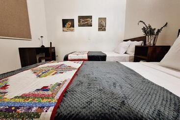 هتل Volarte Hostal