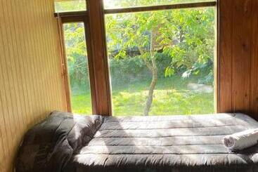 پانسیون Hostal Pelluco