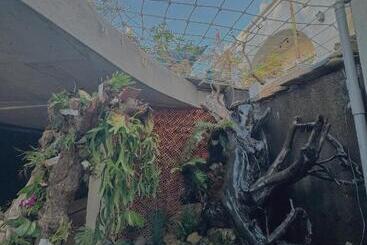 تختخواب و صبحانه Barland Villa