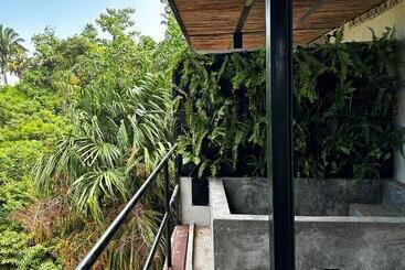 Casa Xue Tayrona   Alma Hotels