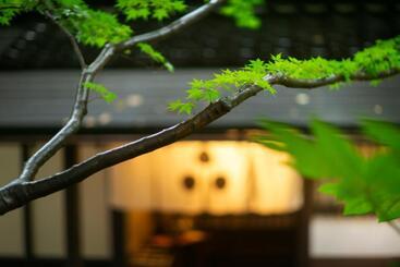 ریوکان 川魚・山菜料理　和田屋